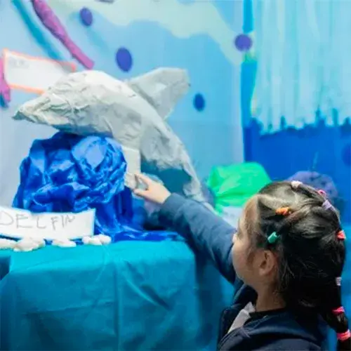 Inicial-500x500 Inicial-500x500