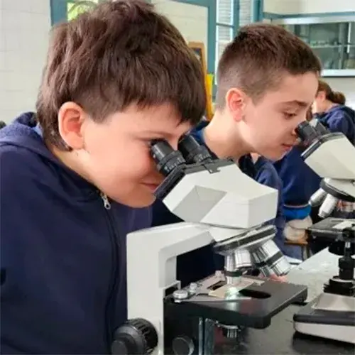 Primario-500x500 Primario-500x500